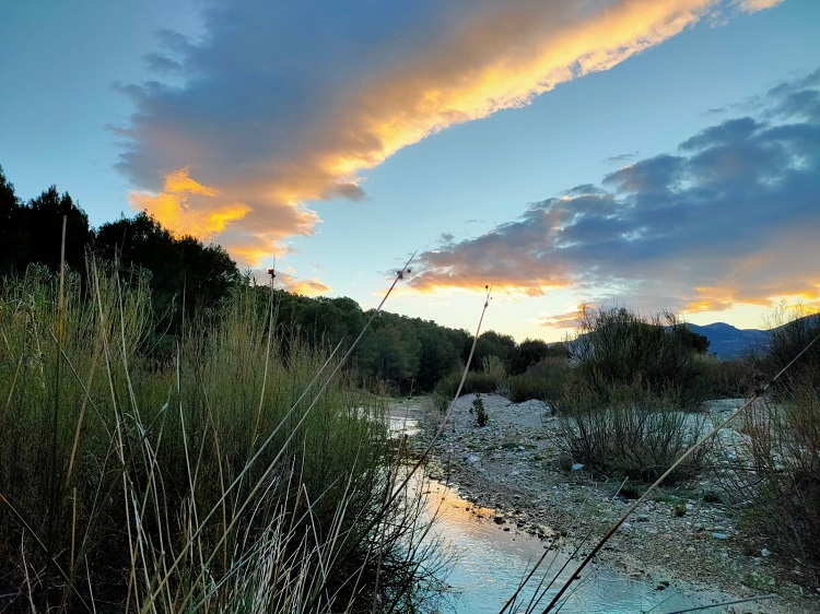 Fotos de la ruta